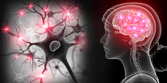 December and whole brain living