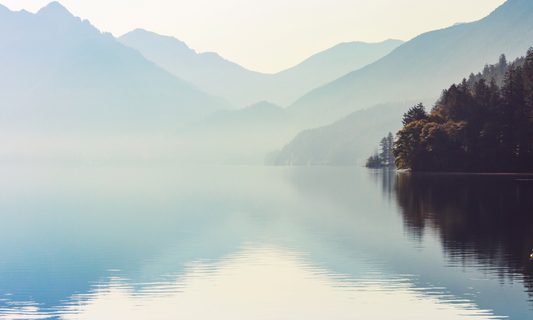 July and perspective