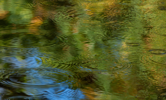 Tea and rippling
