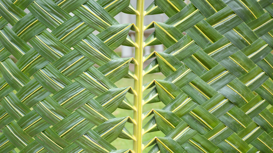 August and weaving